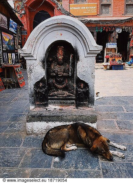dog sleeping in front of religious temple
