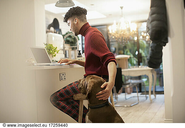 Dog watching young man working from home at laptop in kitchen