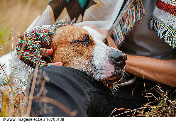 Dog with closed eyes in poncho outdoors  hugged by human