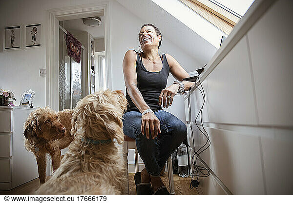 Dogs and happy woman in home office
