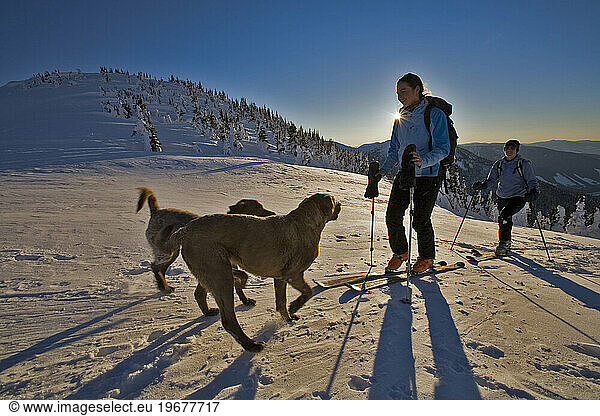 dogs and people ski touring  British Columbia  Canada