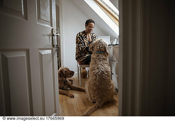 Dogs watching woman working from home in home office doorway