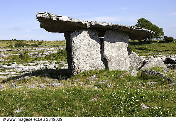 Dolmen  Hünengrab  The Burren  Republik Irland  Europa