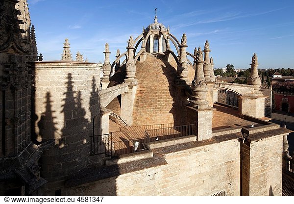 Dome on the roof of Santa Maria de la Sede Cathedral  Seville  Spain