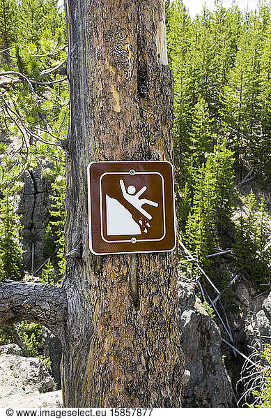 Don't fall off the cliff sign  for hikers  posted on a tree