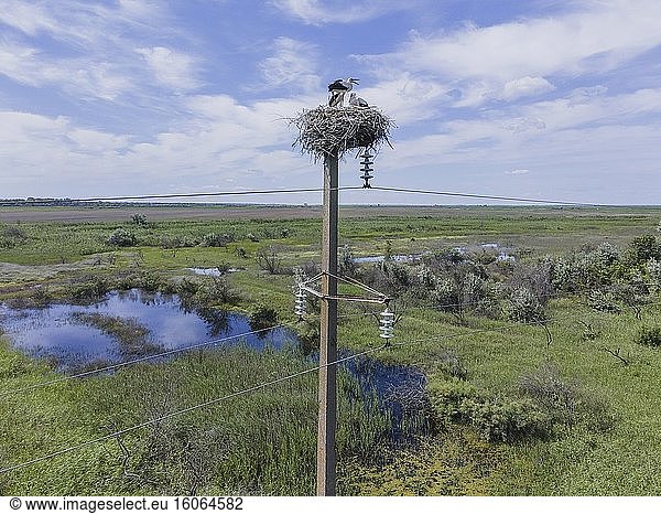 DONAUDELTA  VYLKOVE  ODESSA OBLAST  UKRAINE - 11-15. JULI 2020: Blick aus der Luft auf das Biosphärenreservat Donau im Donaudelta.