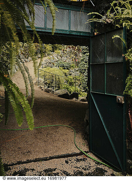 Doorway at Estufa Fria Botanic Gardens