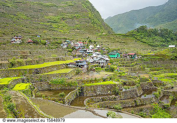 Dorf Batad  Banaue  Gebirgsprovinz  Kordillere  Philippinen