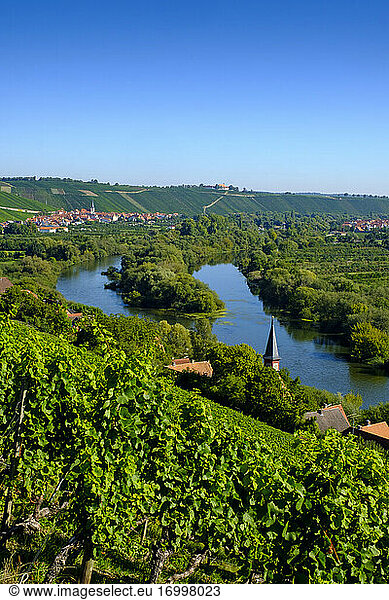 Dorf und Fluss  umgeben von Weinbergen