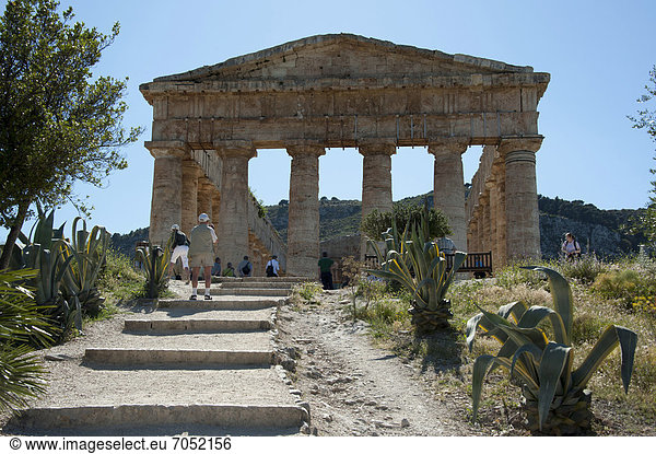 Dorischer Tempel der Elymer  Segesta  Provinz Trapani  Sizilien  Italien  Europa