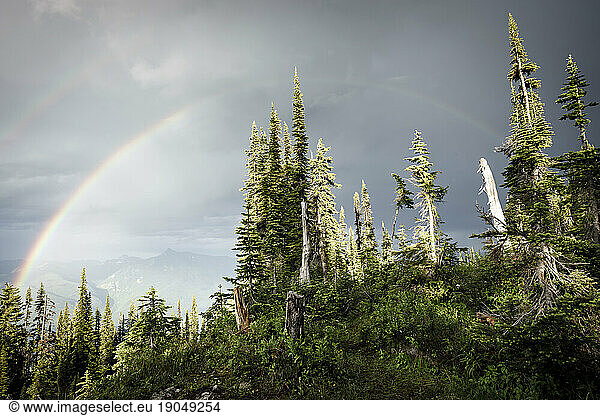 Double rainbow over forest on mountain  British Columbia  Canada