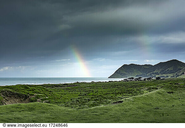 Double rainbow piercing dark storm clouds over green coastal terrain