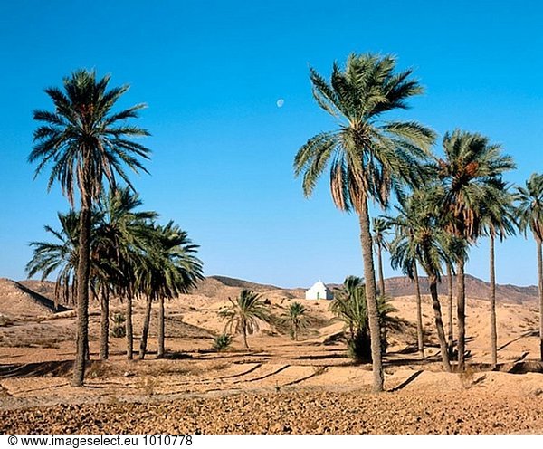 Douz. Sahara-Wüste. Tunesien.