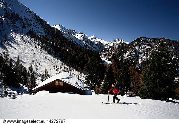Downhill skiing near Sette Selle alpine hut  Palu´ Del Fersina  Valle dei Mocheni  Trentino Alto Adige  Italy