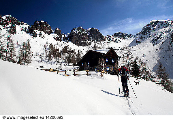 Downhill skiing  Sette Selle alpine hut  Palu´ Del Fersina  Valle dei Mocheni  Trentino Alto Adige  Italy