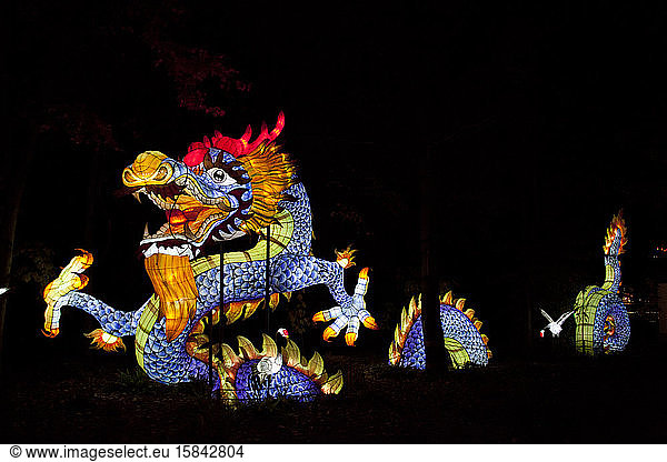 Drachen-Lichtskulptur in der Ausstellung Gärten des Lichts  Botanischer Garten