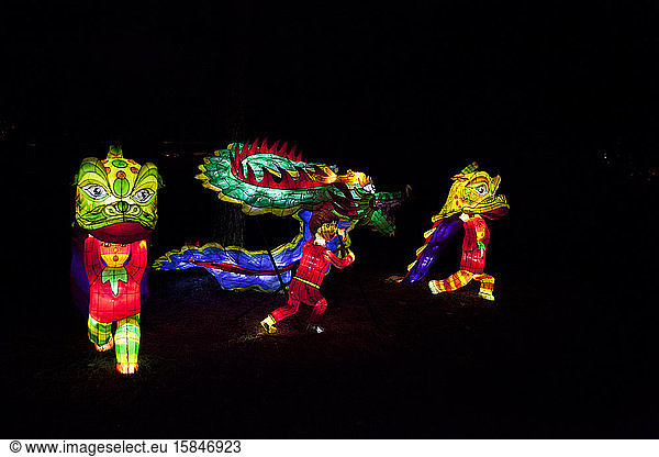 Drachen-Lichtskulptur in der Ausstellung Gärten des Lichts  Botanischer Garten