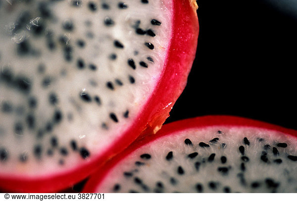 Dragonfruit (Selenicereus megalanthus) Pitahaya