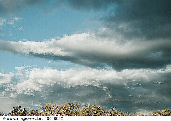 Dramatic clouds at sunset above treetops in New Mexico