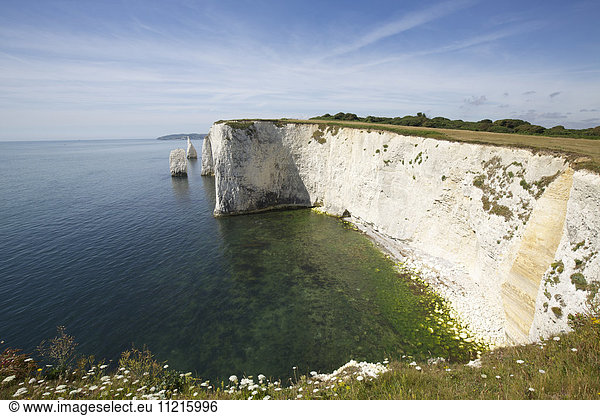 Dramatic limestone cliffs and off shore stacks set in calm blue sea