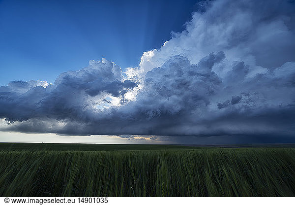 Dramatic skies over the landscape seen during a storm chasing tour in the midwest of the United States; Kansas  United States of America