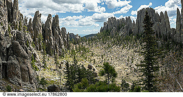 Dramatic spires in the forests of the Black Hills  Custer State