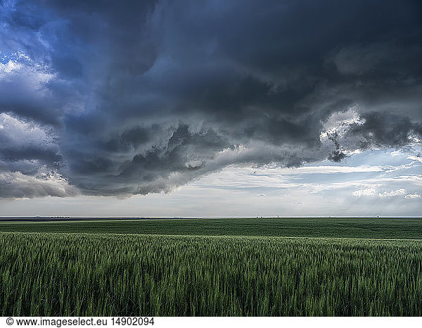 Dramatischer Himmel über der Landschaft während einer Sturmjagd im Mittleren Westen der Vereinigten Staaten; Kansas  Vereinigte Staaten von Amerika