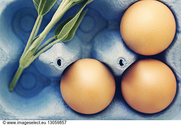 Draufsicht auf Eier im Eierkarton