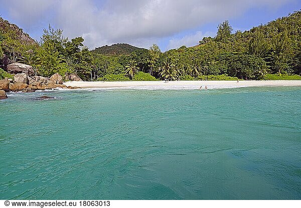 Dream beach Anse Gorgette  Praslin Island  Seychelles  Africa