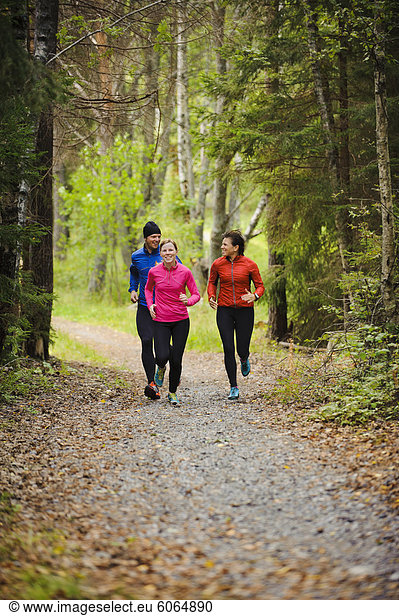 Drei Athleten Joggen durch Wald