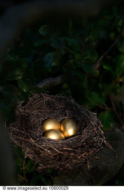 Drei goldene Eier im Vogelnest bei Nacht