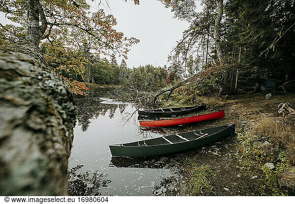 Drei Kanus sitzen am bewaldeten Ufer des Saint Croix River  Maine und Kanada
