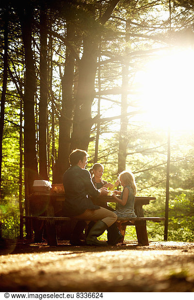 Drei Personen  eine Familie  die am späten Nachmittag an einem Picknicktisch unter Bäumen sitzt.
