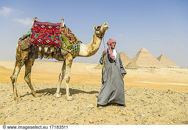 Drei Pyramiden  Gräber der Pharaonen Cheops  Chephren und Menkaure  ein Touristenführer hält ein Kamel