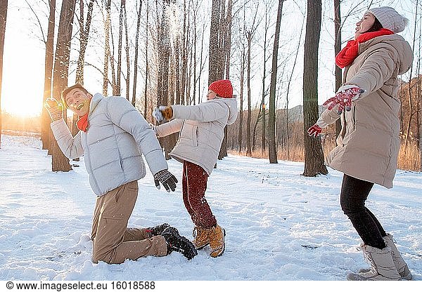 Drei spielen im Schnee