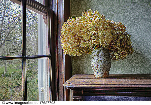 Dried flowers in a vase on a shelf by a window.