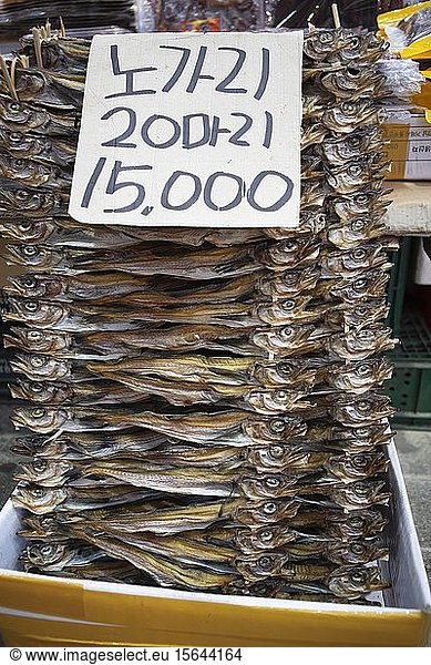 Dried mackerel on the market  Sokcho  Gangwon-do  South Korea  Asia