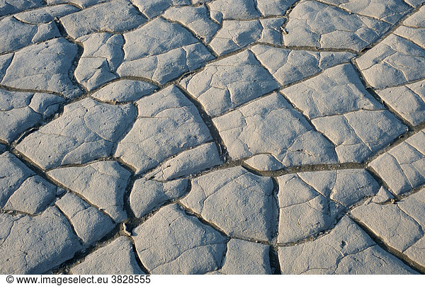 Dried-out Earth  Death Valley  California  USA