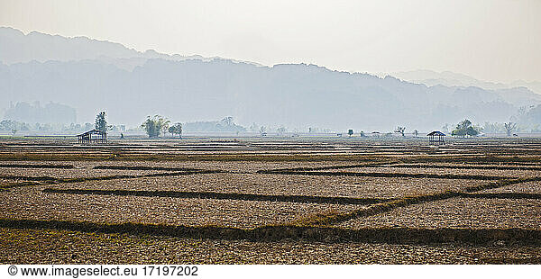 dried up rice field in Laos