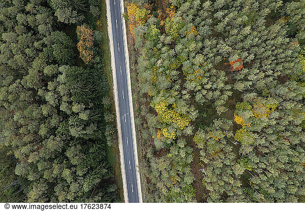Drone view of asphalt road cutting through green autumn forest
