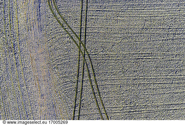 Drone view of tire tracks across frosted field in winter