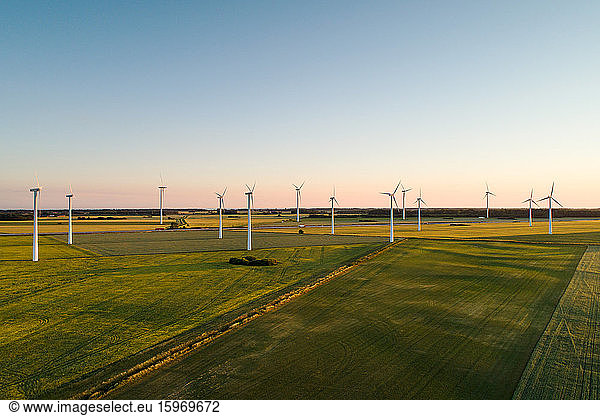 Drone view of windmills on grassy field against clear sky