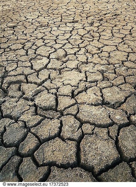 Dry and broken clay ground during drought season  concept of global warming problem. Cracked and barren soil texture background. The global shortage of water on the planet. Arid land  natural disaster