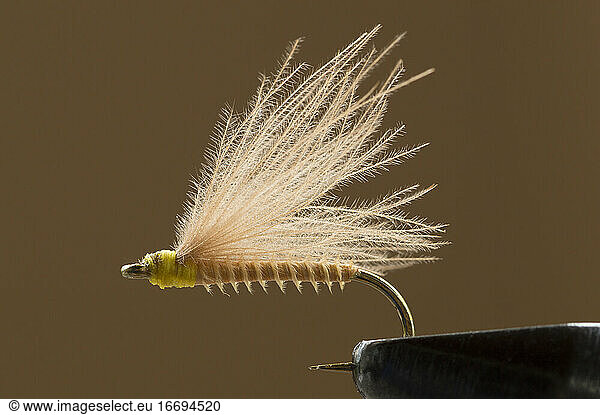 Dry Fly on a Clamp