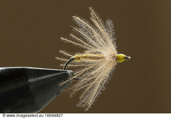 Dry fly on a clamp