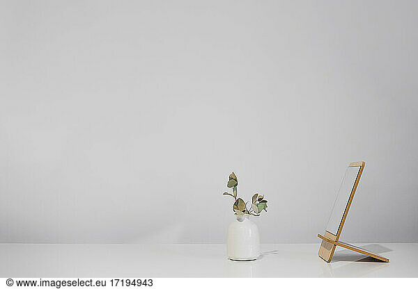 Dry plant in a vase standing next to the mirror on white table t