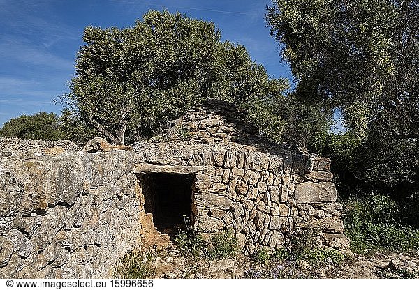 Dry stone walls and roter's barracks  Santany? municipal area  Mallorca  Balearic Islands  Spain.