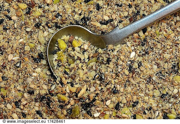 Dukkah  Arabic spice mix with spoon