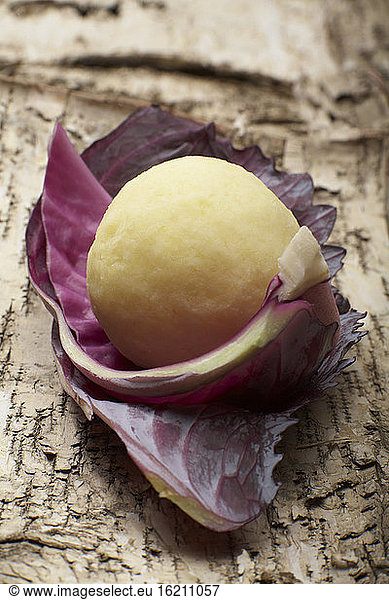 Dumpling lying on red cabbage leaf  close-up