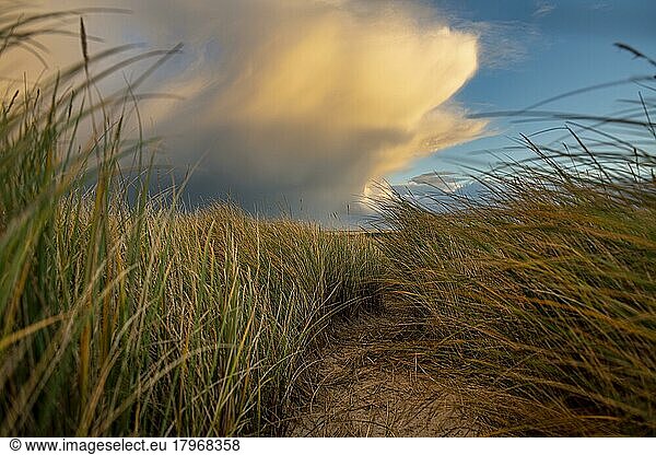 Dune Landscape with Thundercloud  Elbow  List  Sylt Island  Germany  Europe